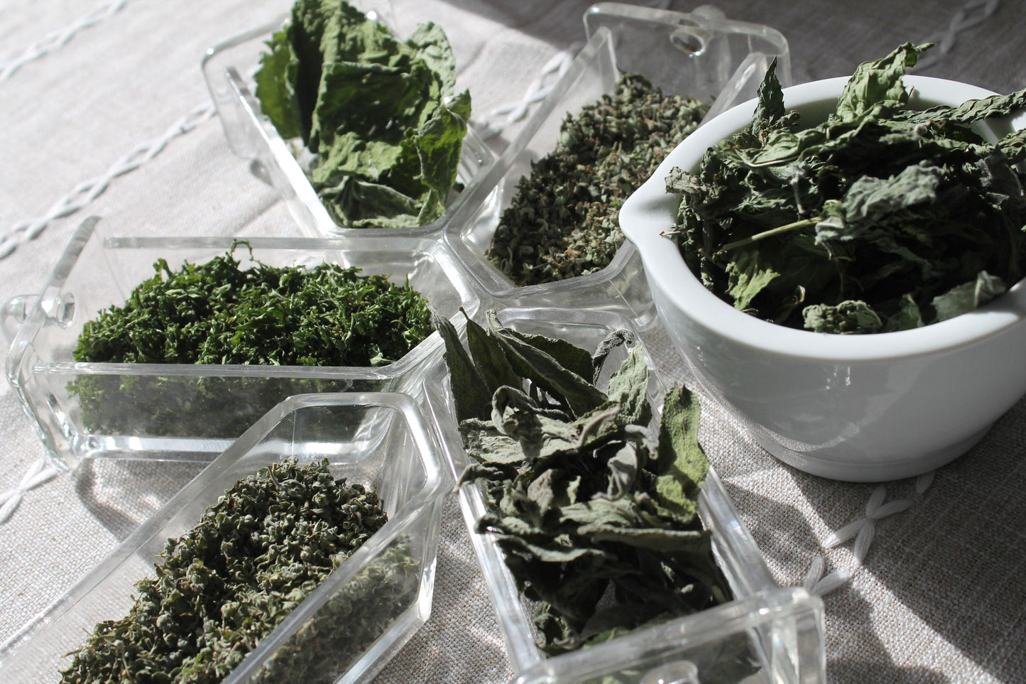 Organic Culinary Sample Pack, Sustainable Farm Grown Herbs,