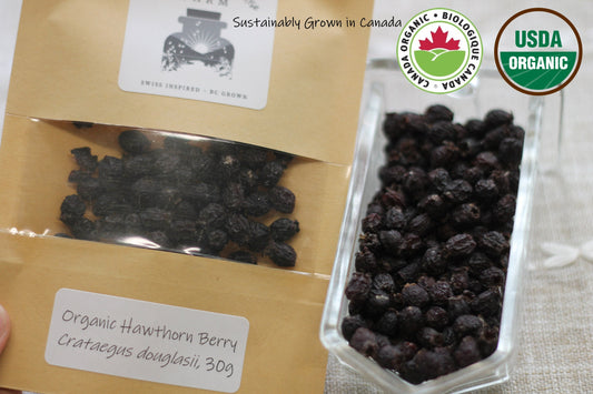 Organic Hawthorn Berries, Crataegus douglasii, Sustainable Canadian Farm Grown Herbs