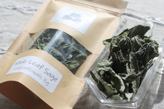 Organic Sage, Salvia officinalis, Sustainable Farm Grown Herb Medicine Culinary