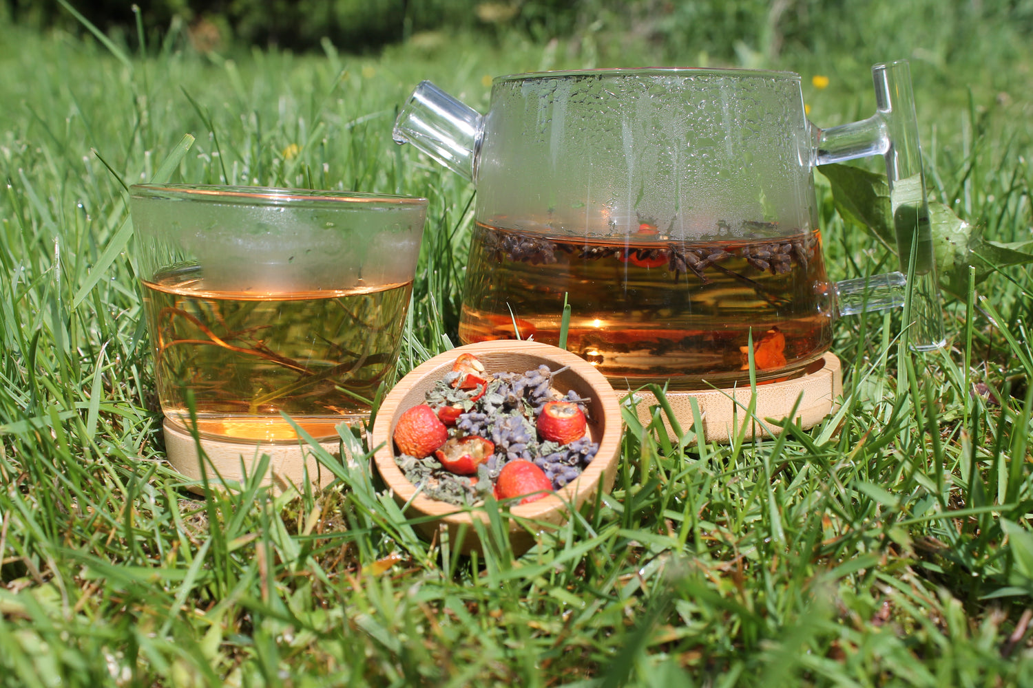 Herbal Teas/Infusions