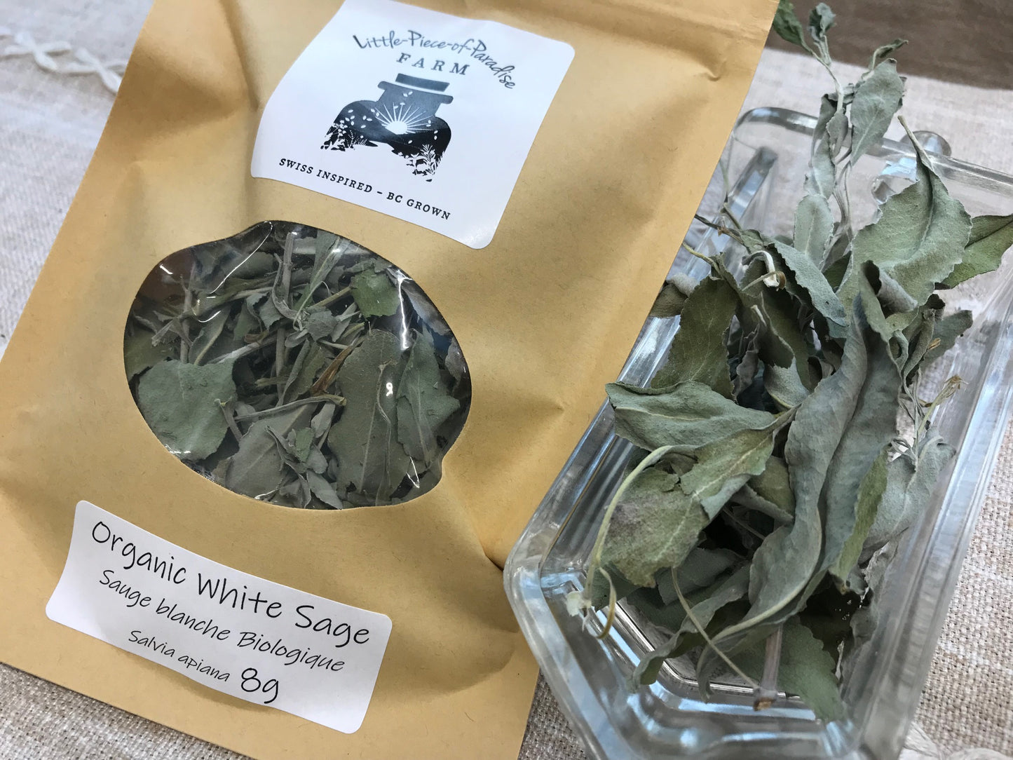 Organic White Sage, Salvia apiana, Sustainable Farm Grown Herb Medicine Culinary
