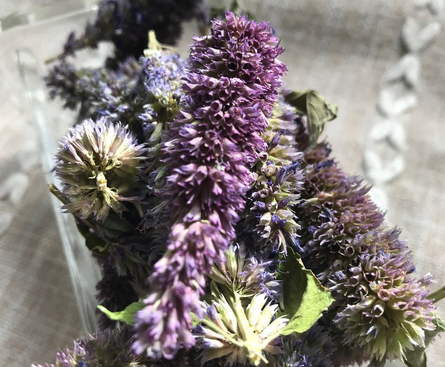 Organic Anise Hyssop Flowers, Agastache foeniculum, Sustainable Farm Grown Herb Medicine