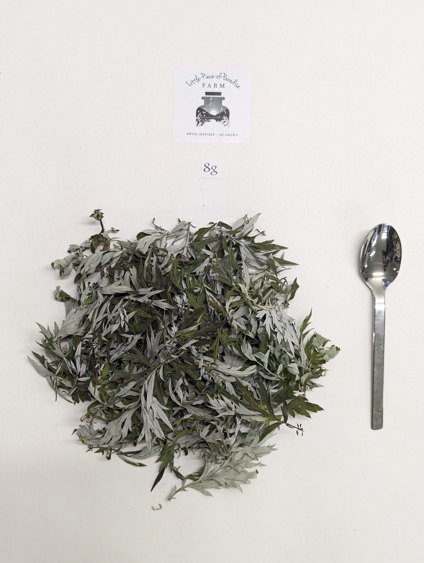 Organic Mugwort, Artemisia vulgaris, Sustainable Canadian Farm Grown Herbs