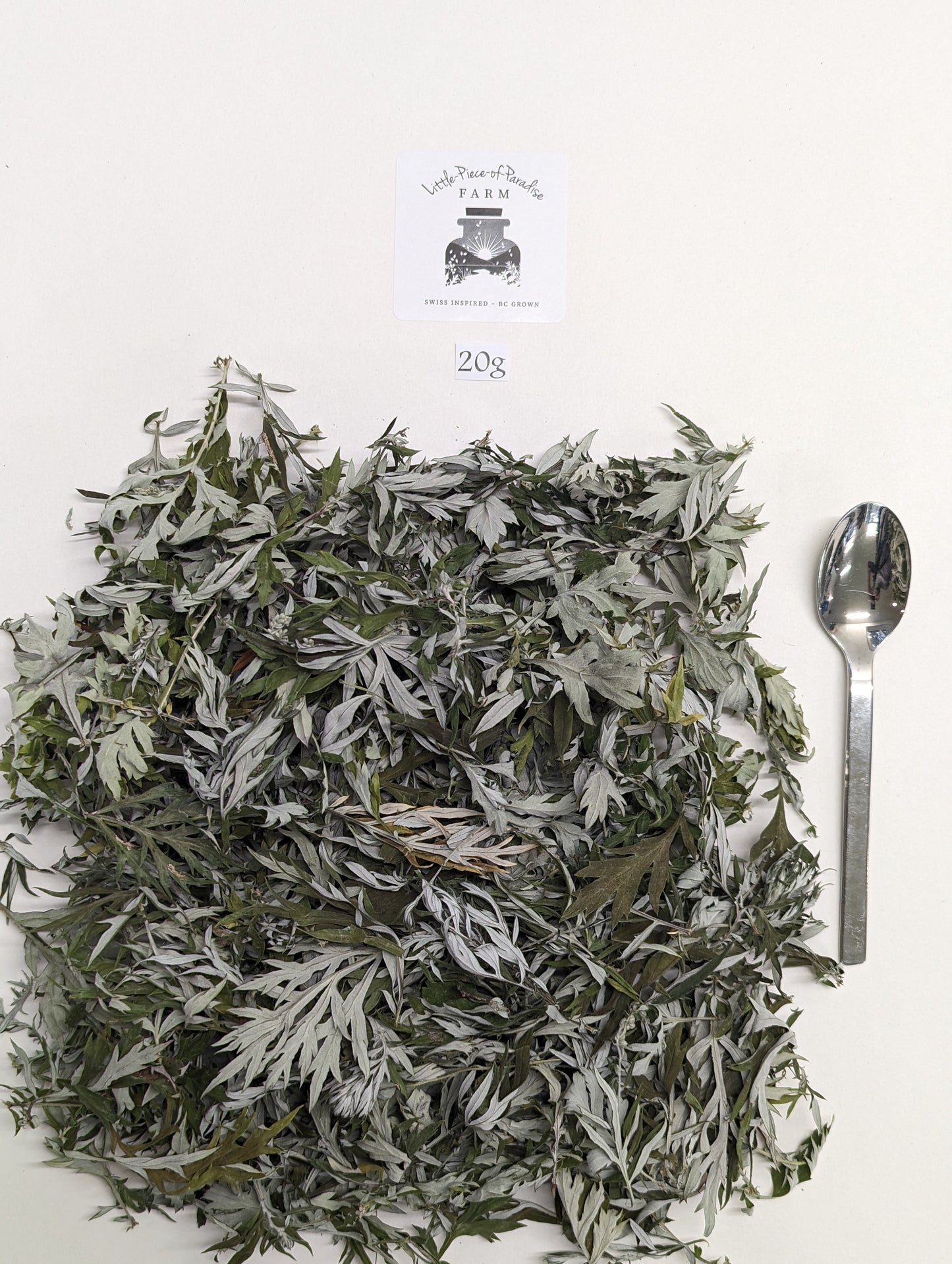 Organic Mugwort, Artemisia vulgaris, Sustainable Canadian Farm Grown Herbs