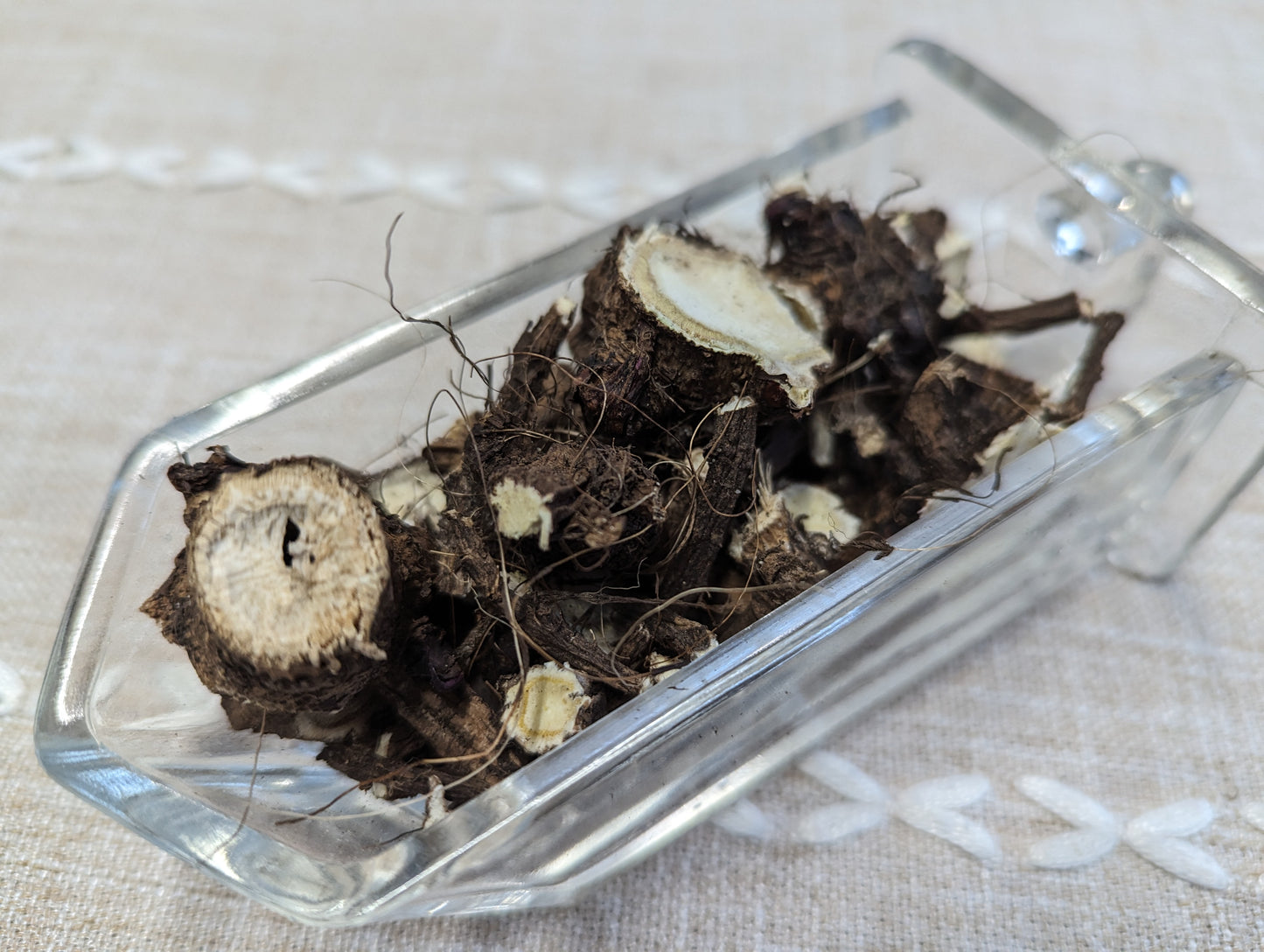 Organic Elecampane root, Inula helenium, Sustainable Farm Grown Herb
