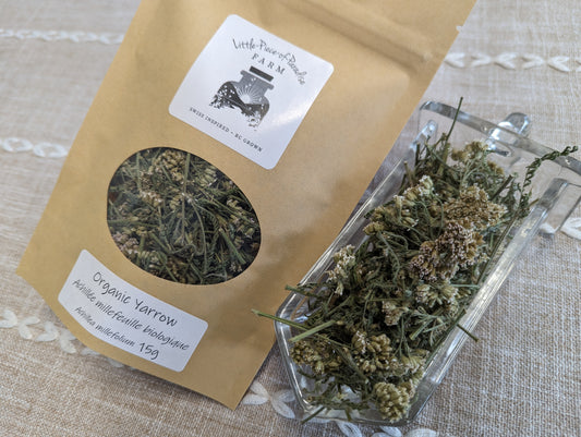 Organic Yarrow, Achillea millefolium, Sustainable Canadian Farm Grown Medicine