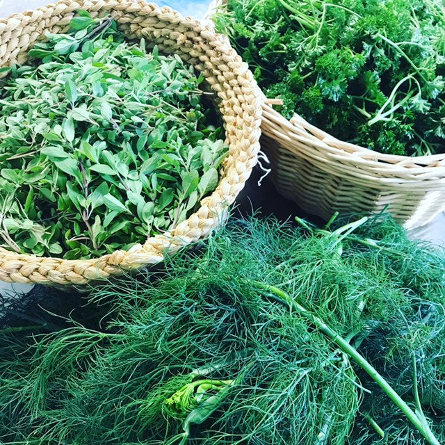 Organic Dried Dill, Sustainable Farm Grown Culinary Herbs