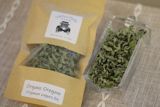 Organic Greek Oregano, Origanum vulgare, Sustainable Farm Grown Herbs