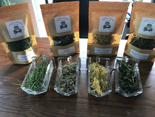 Organic Herbal Medicine Starter Pack, Apothecary