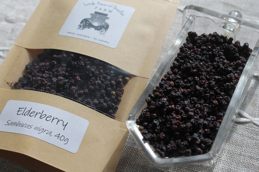 Organic Elderberry, Sambucus nigra, Sustainable Farm Grown Herb Medicine
