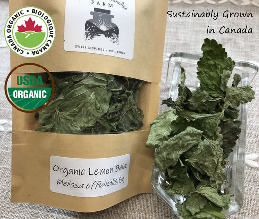 Organic Lemon Balm, Melissa officinalis, Sustainable Farm Grown Herb Medicine