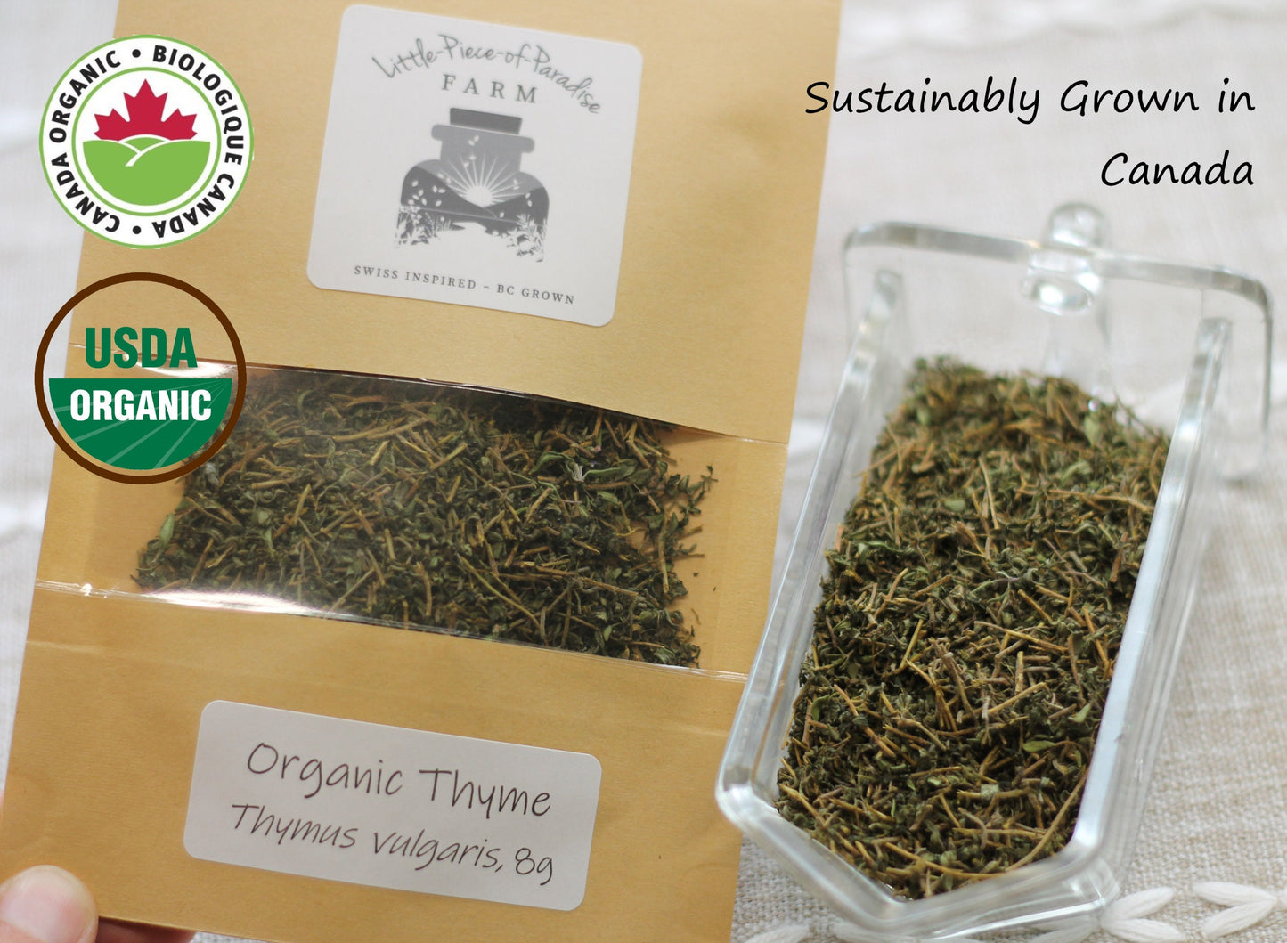 Organic German Winter Thyme, Thymus vulgaris, Sustainable Farm Grown Herb Medicine