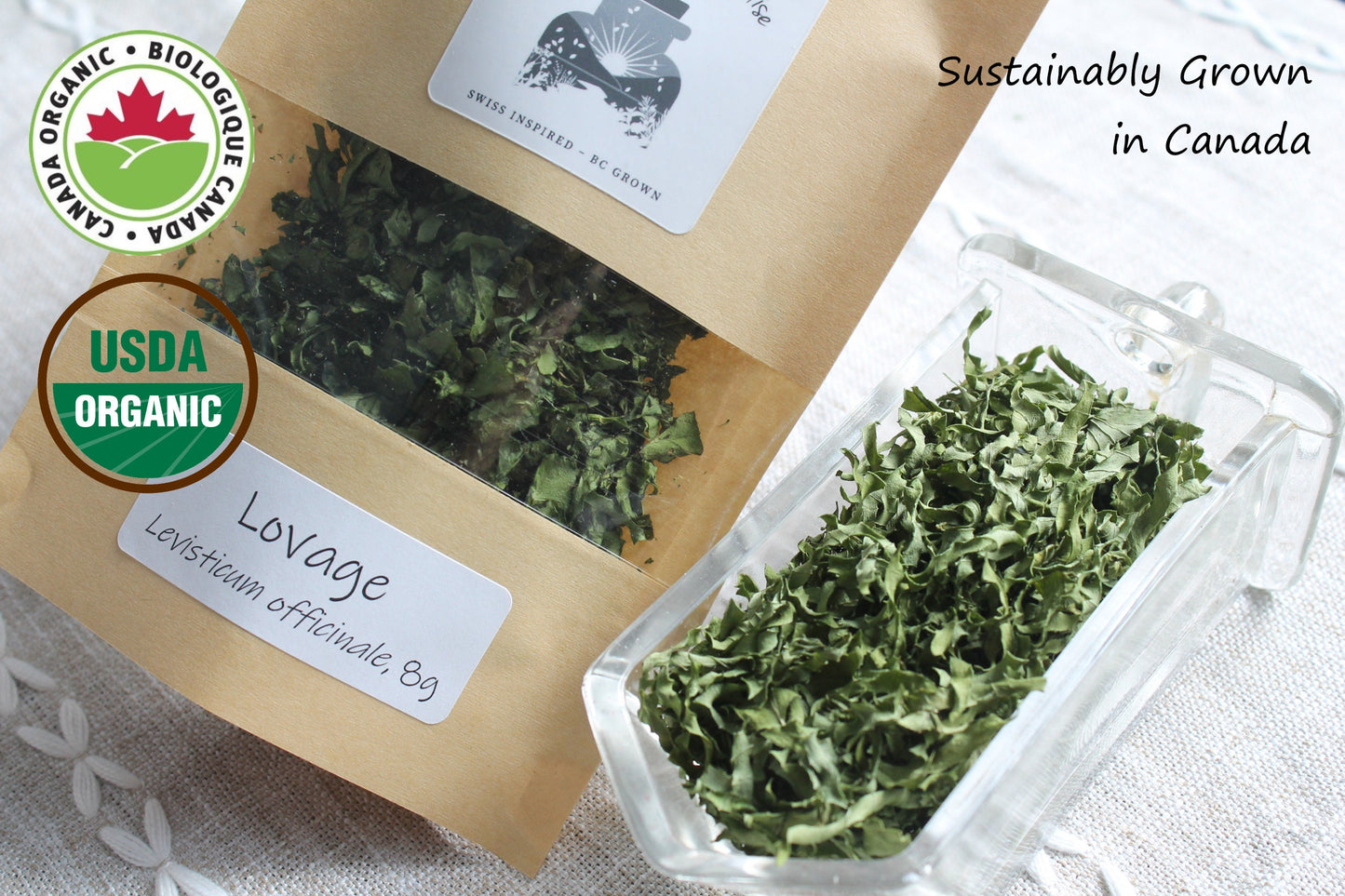 Organic Lovage, Levisticum officinale, Sustainable Canadian Farm Grown,