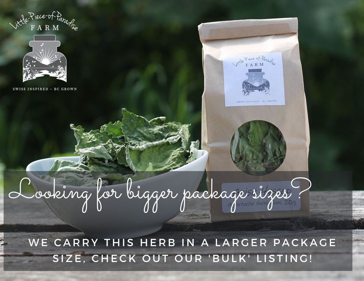 Organic Mint, Sustainable Farm Grown Herbs