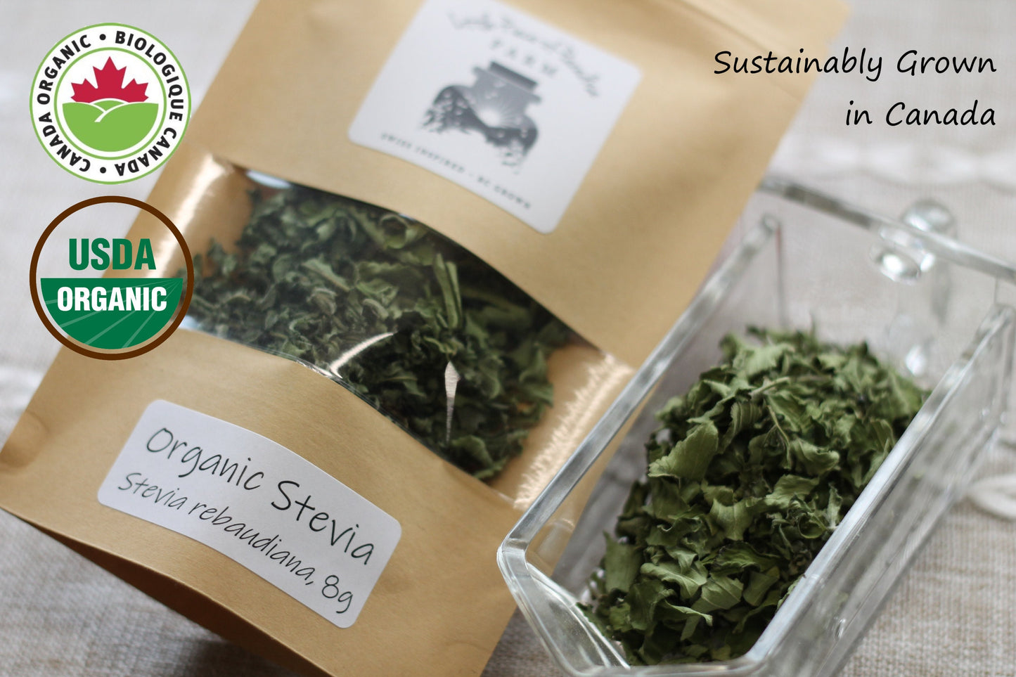 Organic Stevia, Sustainable Farm Grown Herbs