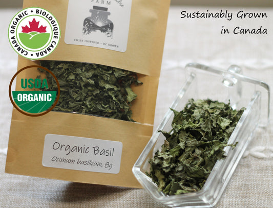 Organic Basil, Ocimum Basilicum, 2023 Harvest, Sustainable Farm Grown Herbs